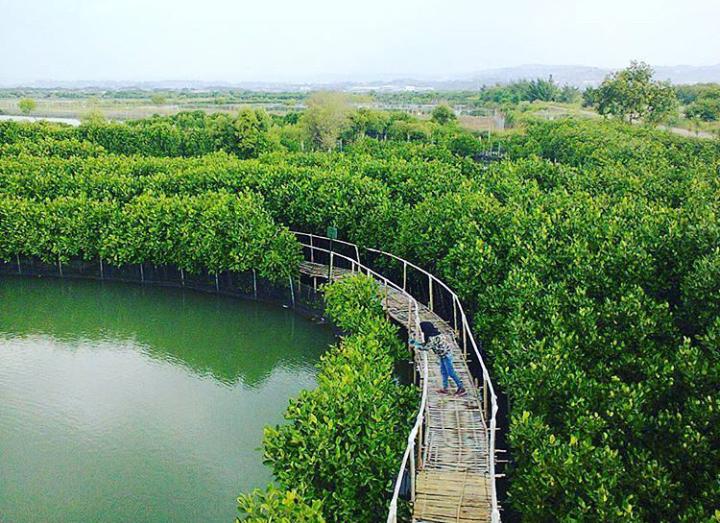 Maron Mangrove Edupark, salah satu destinasi wisata populer di Semarang. Dari akun Instagram @travellersemarang