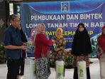 Begini cara bupati Sleman kembangkan budidaya pertanian timun baby
