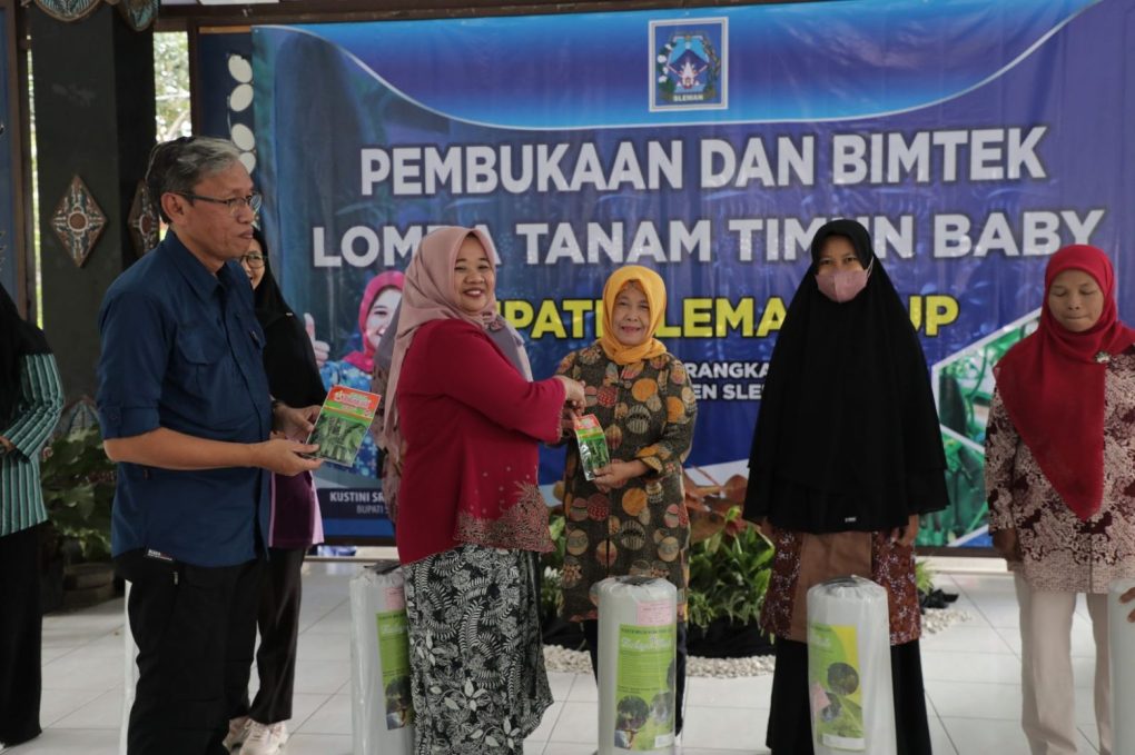 Begini cara bupati Sleman kembangkan budidaya pertanian timun baby