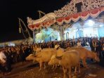 Lima ekor kerbau keturunan Kyai Slamet usai diberi makan sebelum menjadi cucuk lampah Kirab Pusaka Malam 1 Suro Keraton Kasunanan Surakarta Hadiningrat, Rabu 19 Juli 2023 malam.