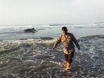 Seekor hiu tutul terdampar di Pantai Kuwaru, Poncosari, Srandakan, Bantul,