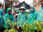 Gerakan tanam cabai di RW 08 Keluarahan Kembangarum, Kecamatan Semarang Barat, Kota Semarang