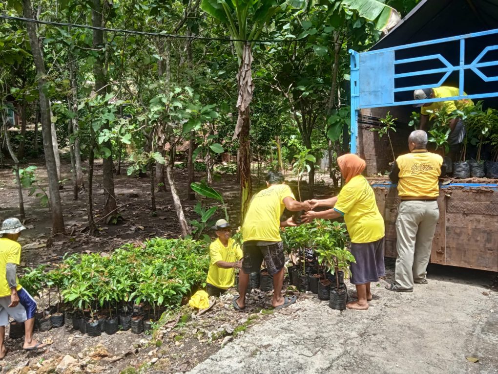 Petani di Bantul dan Gunungkidul terima bantuan bibit alpukat.