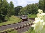 KAI akhirnya menyelesaikan penyusunan Grafik Perjalanan Kereta Api (Gapeka) 2025 yang akan mulai berlaku pada Februari mendatang. (Foto: dok. Humas Daop 6 Yogyakarta)