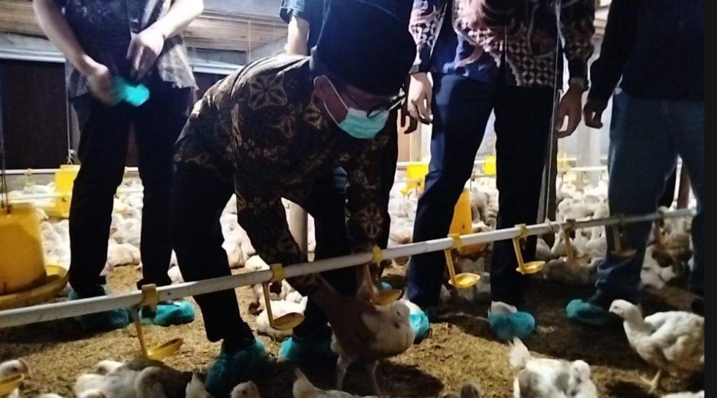 Menteri Desa Dan Pembangunan Daerah Tertinggal, Yandri Susanto, meninjau peternakan ayam pedaging berteknologi Artificial intelligent atau AI di Boyolali, Jawa Tengah, Senin 29 Desember 2025. (Foto: Red)