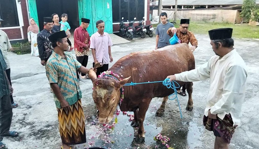 Pembina Masjid Shiratalmustaqim, Setiyono (dua dari kanan), memandikan sapi pada tradisi memandikan hewan kurban sebelum disembelih dalam perayaan Hari Raya Idul Adha di halaman Masjid Shiratalmustaqim, dukuh Manggung, Desa Pagerjurang, Kecamatan Musuk, Kabupaten Boyolali, Jawa Tengah, Rabu, 27 Mei 2026. (Foto: Agatha Janendra)