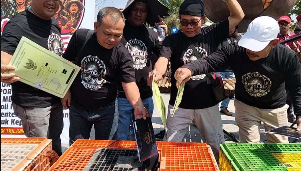 Para peternak ayam memberi makan ayamnya dengan sertifikat dan BPKB saat Aksi Protes Harga Pakan Ternak Mahal di Tugu Jagung kompleks perkantoran Pemkab Boyolali, Jawa Tengah, Senin 10 Agustus 2026 siang. (Foto: Agatha Janendra)